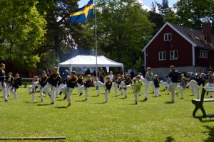 Gradering VT -19
