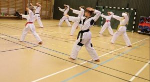 Teknink/Poomsaeläger 25-27 Mars med Master Laban Fredriksen