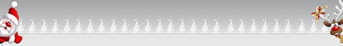 ⛄️🌲 Julledigt 🌲⛄️