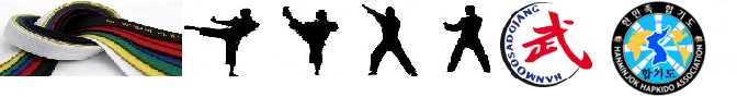 Hapkidoläger